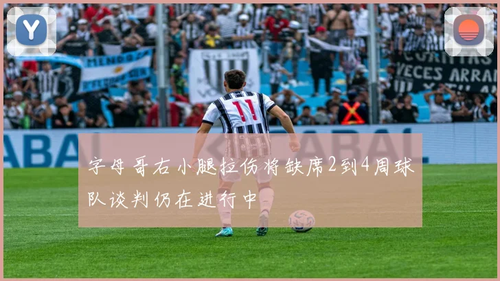 字母哥右小腿拉伤将缺席2到4周球队谈判仍在进行中