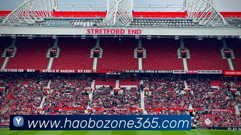 好博体育平台生态图