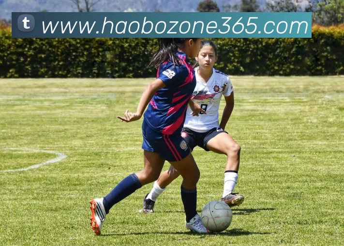 好博体育APP 封面图