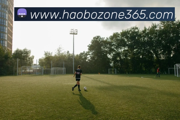 数据防护可视化